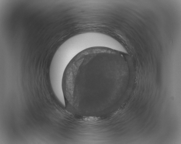 X0000082180125200702162336