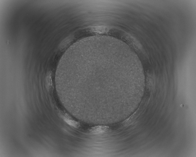 X0000082180128200702162336