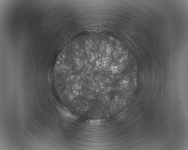 X0000082180134200702162336