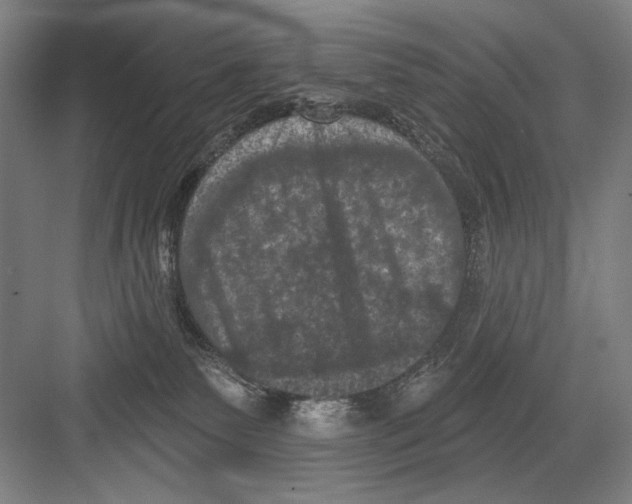 X0000082180135200702162336
