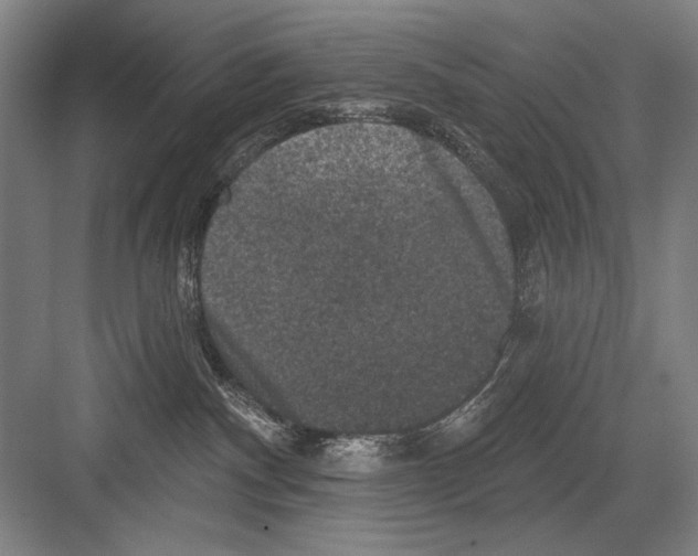 X0000082180140200702162336