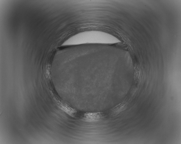 X0000082180141200702162336