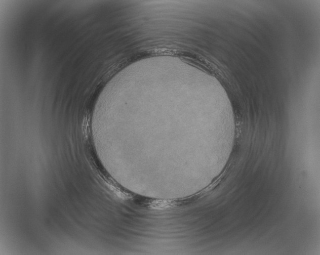 X0000082180142200702162336