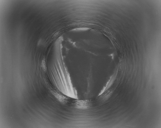 X0000082180143200702162336