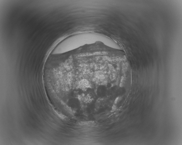 X0000082180147200702162335