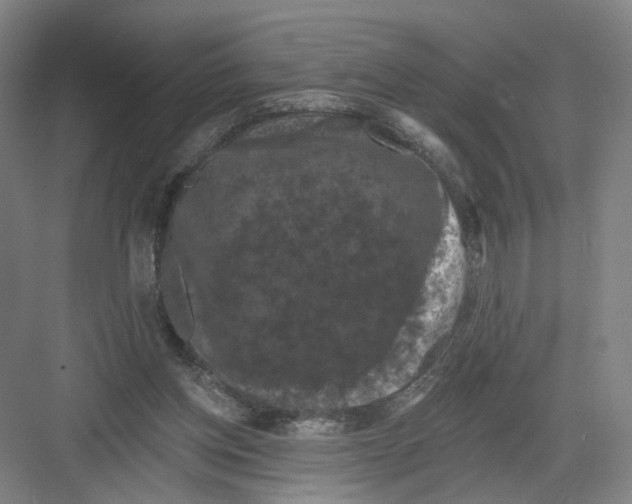 X0000082180158200702162336