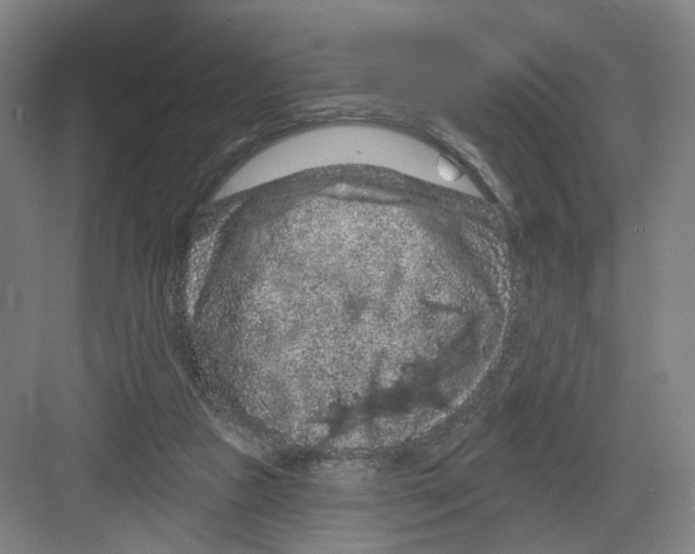 X0000082180161200702162336