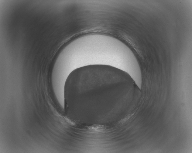 X0000082180164200702162336