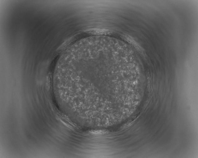 X0000082180165200702162336