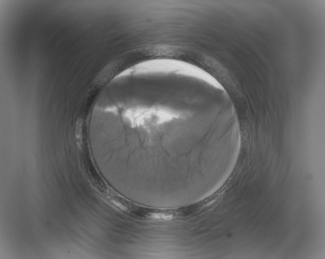 X0000082180167200702162336