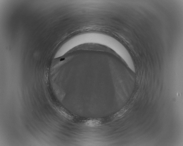 X0000082180168200702162336