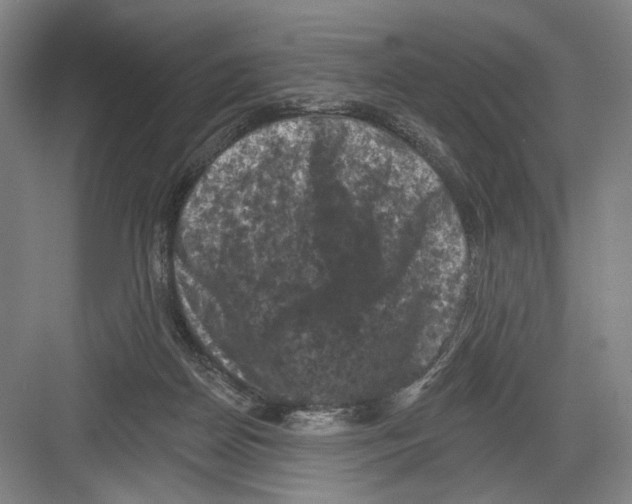 X0000082180170200702162336
