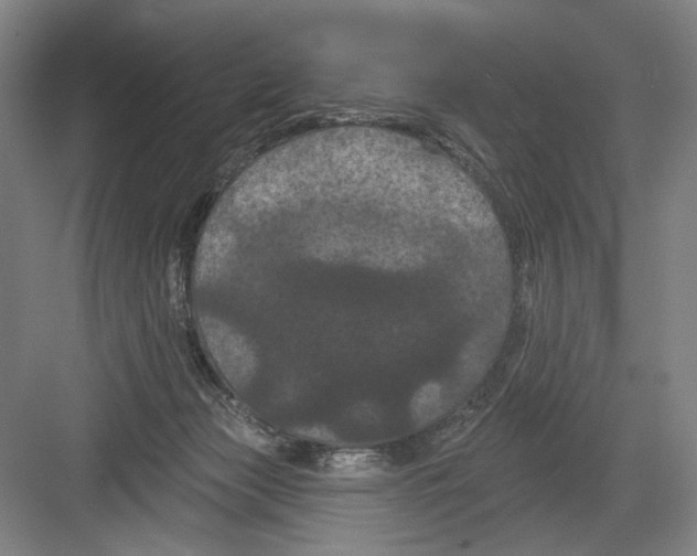 X0000082180173200702162336