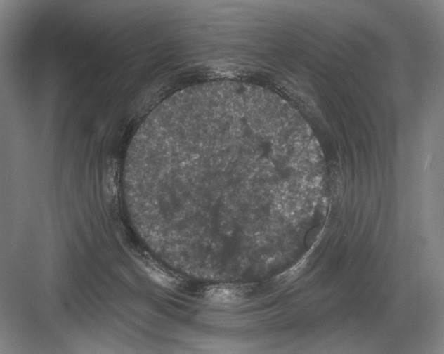 X0000082180174200702162336