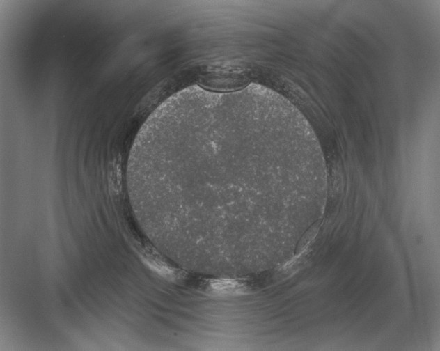 X0000082180183200702162336