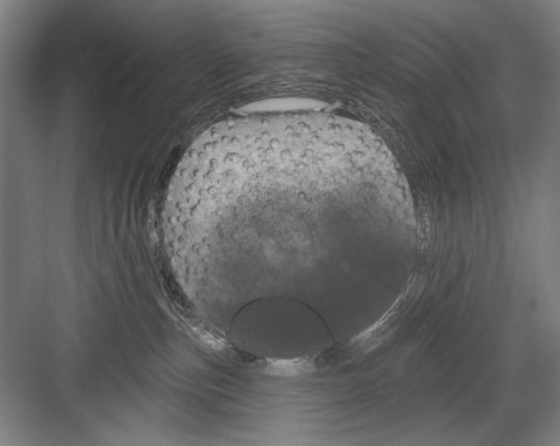 X0000082180187200702162336