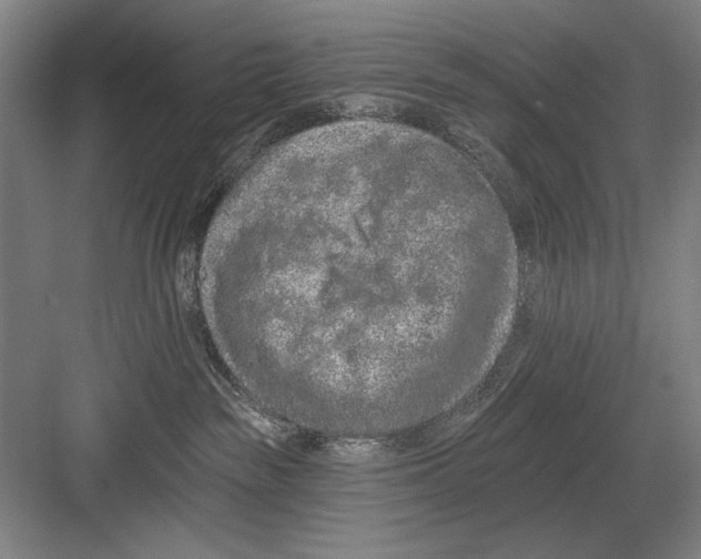 X0000082180189200702162336