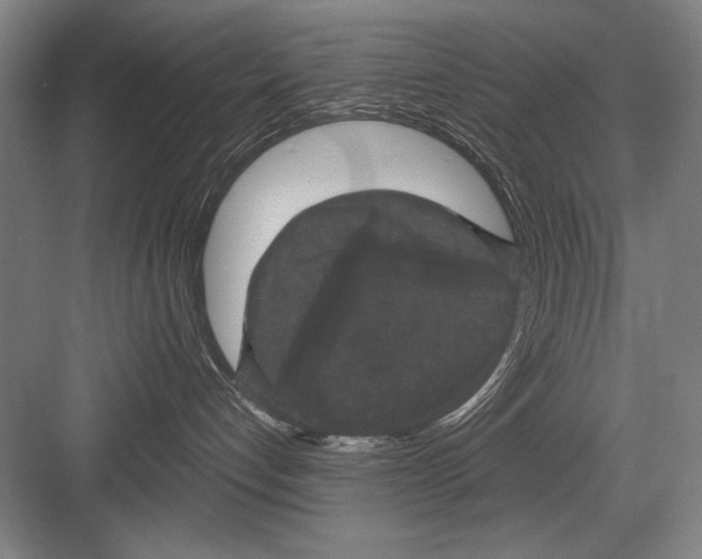 X0000082180192200702162336