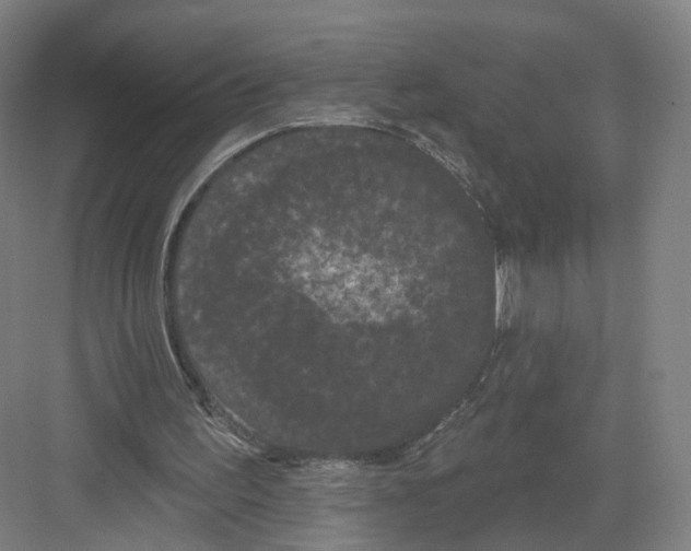 X0000082180195200702162335
