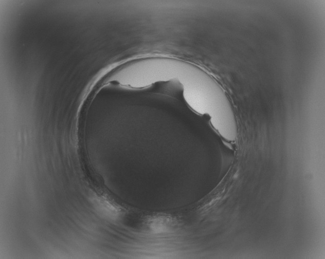 X0000082180200200702162335