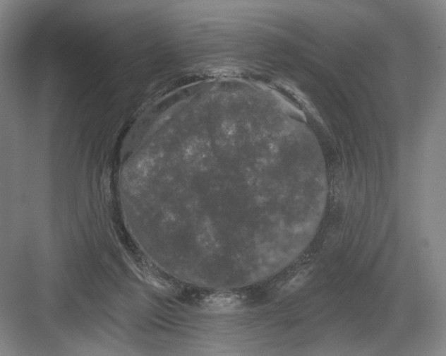 X0000082180213200702162335