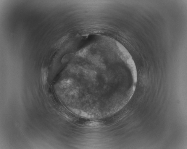 X0000082180219200702162335