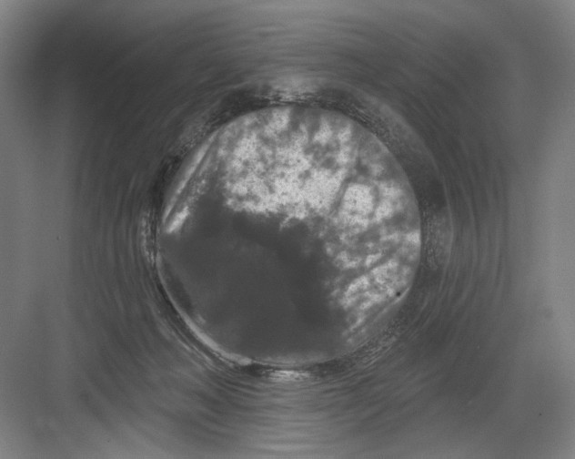 X0000082180222200702162335
