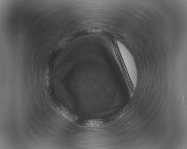 X0000082180223200702162335