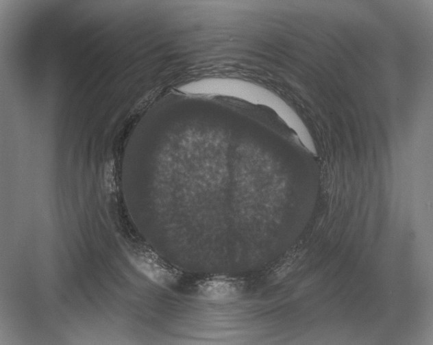 X0000082180224200702162335
