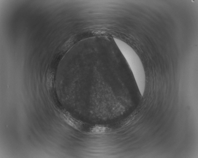 X0000082180227200702162335