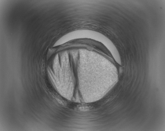 X0000082180228200702162335