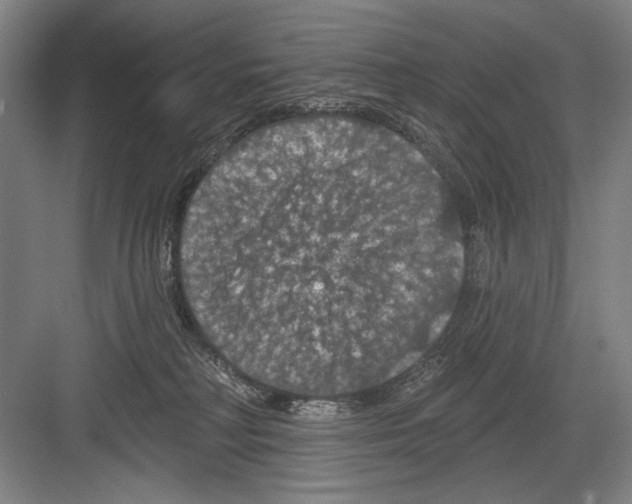 X0000082180230200702162335