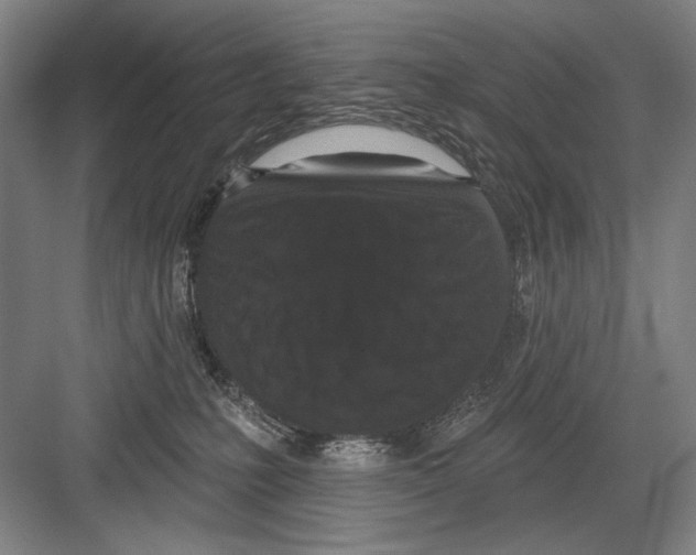 X0000082180231200702162335