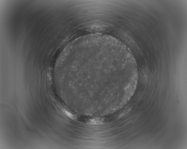 X0000082180232200702162335