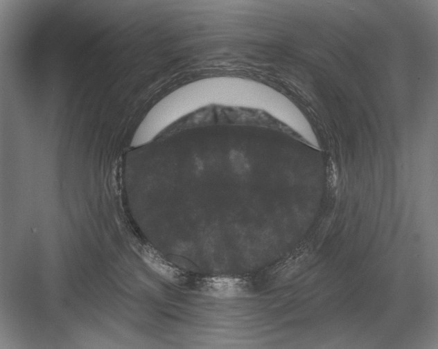 X0000082180233200702162335