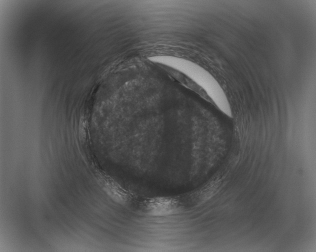 X0000082180235200702162335