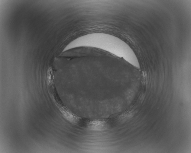 X0000082180237200702162335