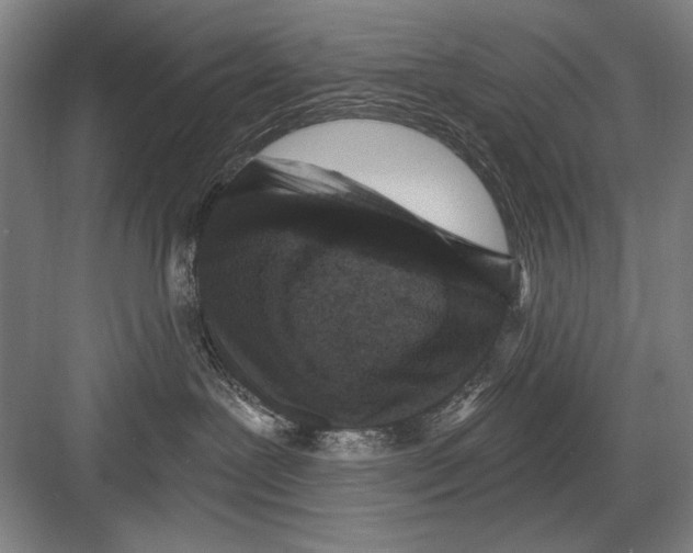 X0000082180239200702162335