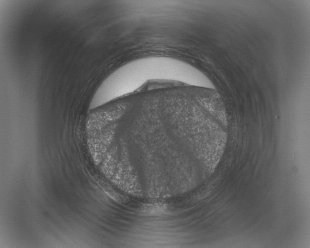 X0000082180266200702162334