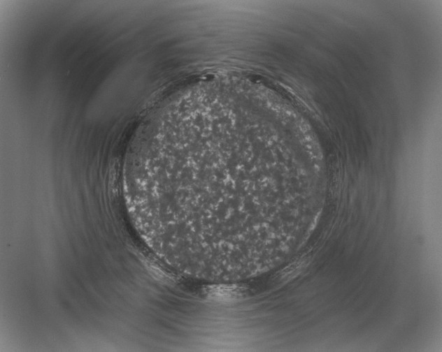 X0000082180273200702162334