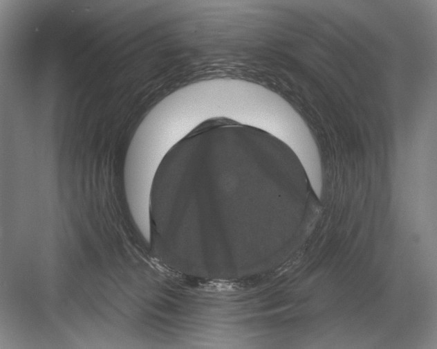 X0000082180276200702162334