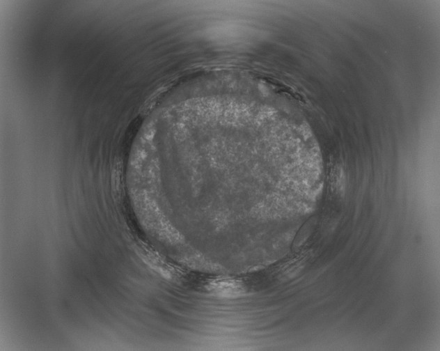 X0000082180283200702162334