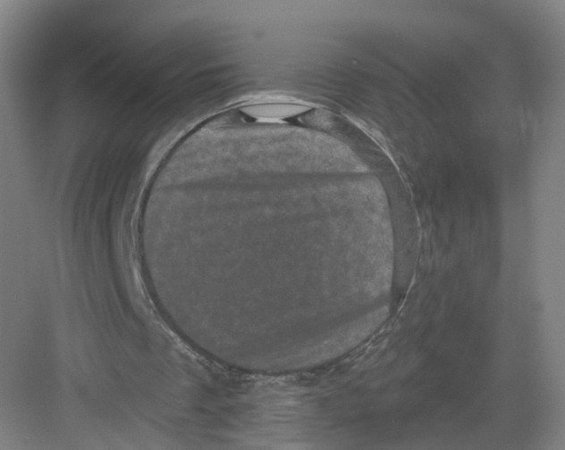 X0000082180289200702162334