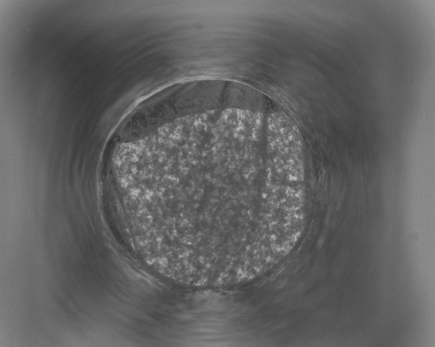 X0000082180290200702162334