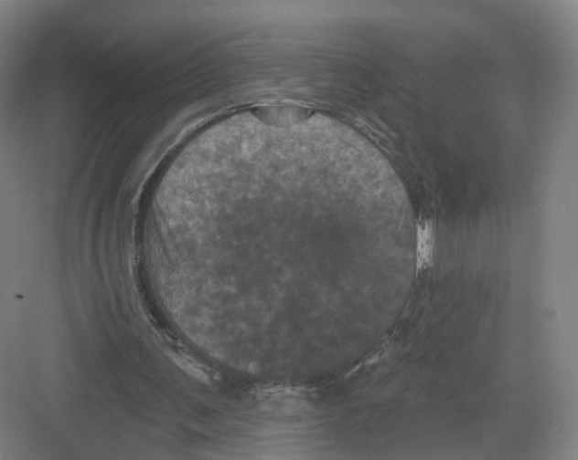 X0000082180291200702162334