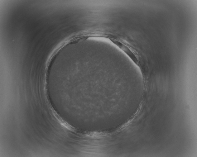 X0000082180293200702162334