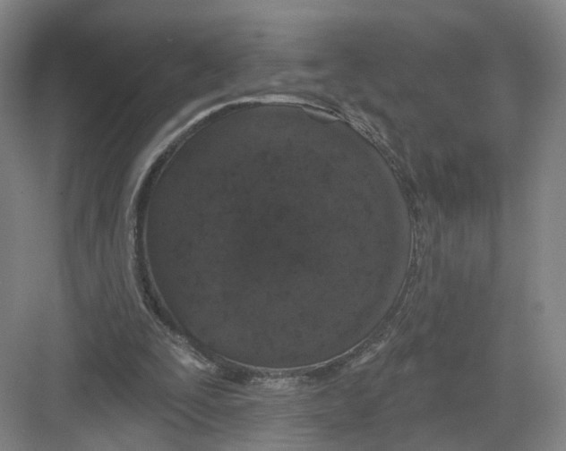 X0000082180295200702162334