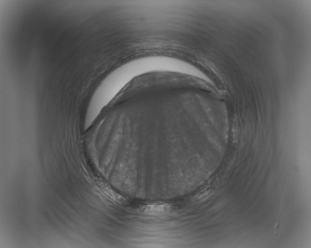 X0000082180314200702162333