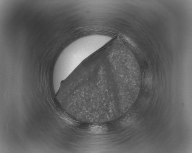 X0000082180315200702162333