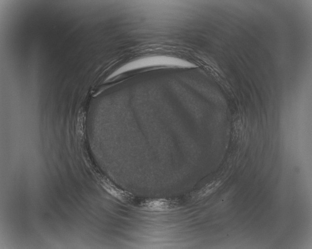 X0000082180325200702162333